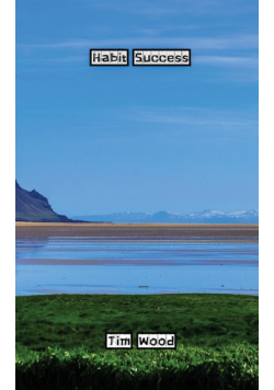 Habit Success