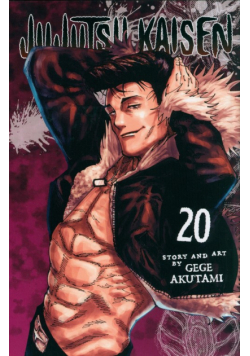 Jujutsu Kaisen, Vol. 20