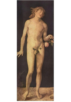 Puzzle 1000 Durer, Adam
