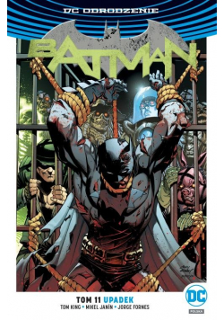 Batman Tom 11 Upadek