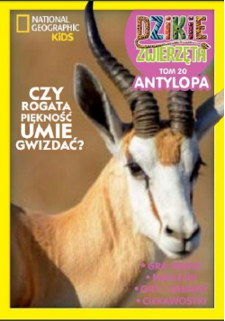 Dzikie Zwierzęta 20 Antylopa