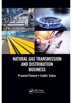 Natural Gas Transmission and Distribution Business