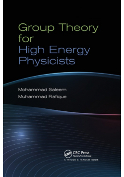 Group Theory for High Energy Physicists