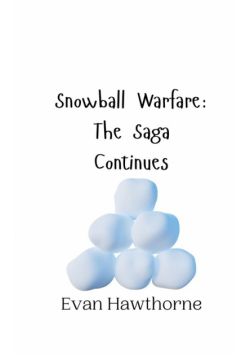 Snowball Warfare
