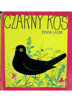 Czarny kos