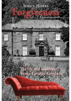 Forgiveness - a sensation novel