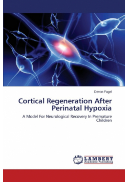 Cortical Regeneration After Perinatal Hypoxia
