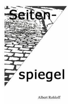 Seitenspiegel