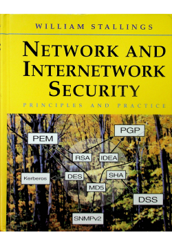 Network and internetwork security