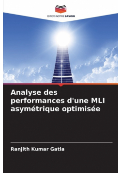 Analyse des performances d'une MLI asymétrique optimisée