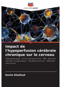 Impact de l'hypoperfusion cérébrale chronique sur le cerveau