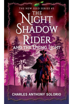 The Night Shadow Rider and the Dying Light
