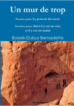 Un Mur De Trop