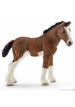 Źrebię rasy Clydesdale SLH13810