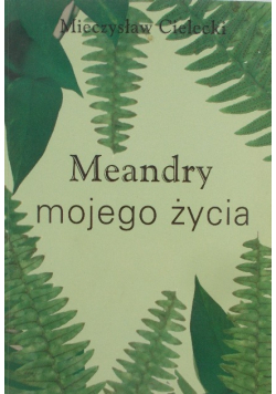 Meandry mojego życia