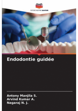 Endodontie guidée