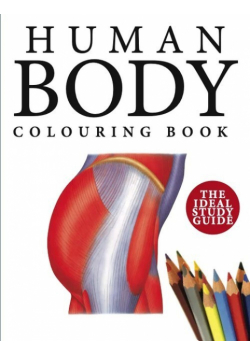 Human Body Colouring Book