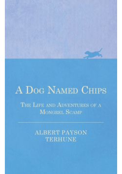 A Dog Named Chips - The Life and Adventures of a Mongrel Scamp