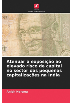 Atenuar a exposição ao elevado risco de capital no sector das pequenas capitalizações na Índia