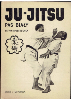 Ju Jitsu pas biały