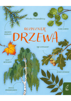 Rozpoznaję drzewa. Młodzi przyrodnicy
