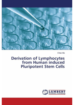 Derivation of Lymphocytes from Human induced Pluripotent Stem Cells