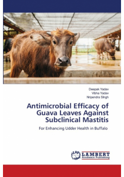 Antimicrobial Efficacy of Guava Leaves Against Subclinical Mastitis