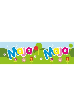 Bidon 300ml Maja
