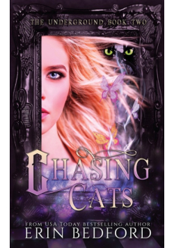 Chasing Cats