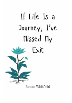 If Life Is a Journey, I've Missed My Exit