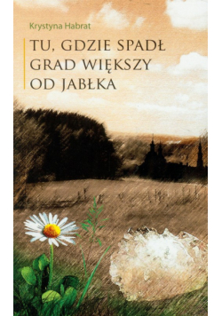 Tu, gdzie spadł grad większy od jabłka