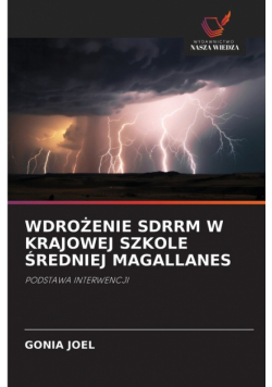 Wdrożenie Sdrrm W Krajowej Szkole Średniej Magallanes