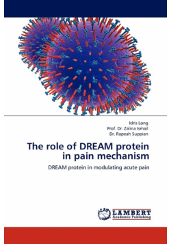 The Role of Dream Protein in Pain Mechanism