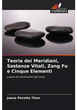 Teoria dei Meridiani, Sostanze Vitali, Zang Fu e Cinque Elementi