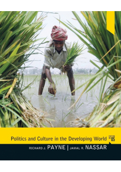 Politics and Culture in the Developing World