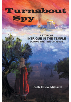 Turnabout Spy