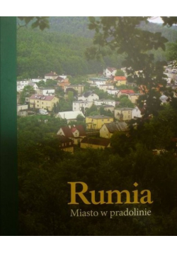 Rumia Miasto w pradolinie