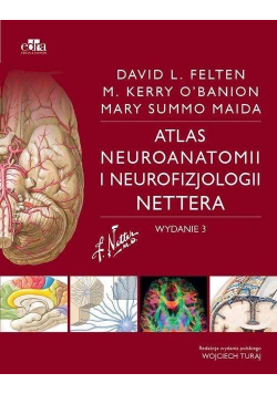 Atlas neuroanatomii i neurofizjologii Nettera