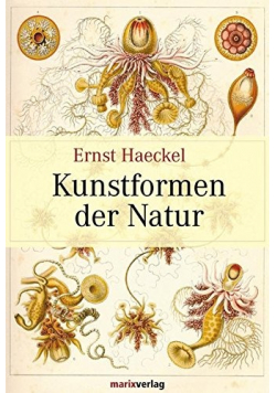 Kunstformen der Natur