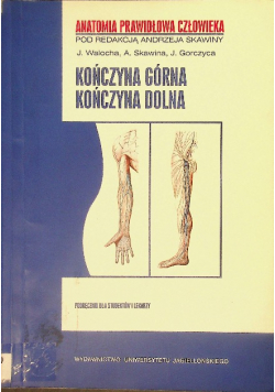 Anatomia prawidłowa człowieka Kończyna górna Kończyna dolna