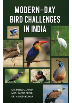 Modern-Day Bird Challenges in India