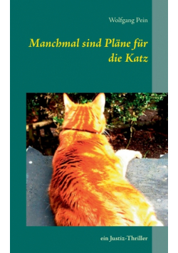 Manchmal sind Pläne für die Katz
