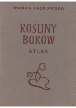 Rośliny borów