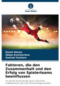 Faktoren, die den Zusammenhalt und den Erfolg von Spielerteams beeinflussen