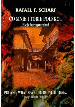 Co mnie i tobie Polsk Eseje bez uprzedzeń