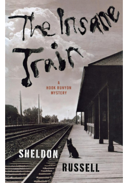 The Insane Train