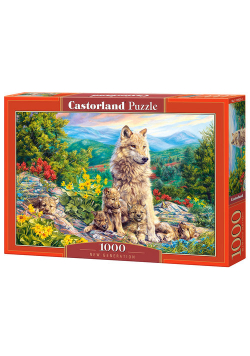 Puzzle New Generation 1000