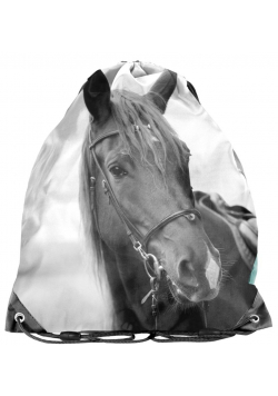 Worek na buty Horse PP21KE-712 PASO