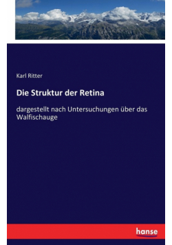 Die Struktur der Retina