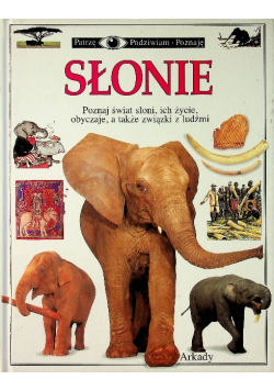 Słonie